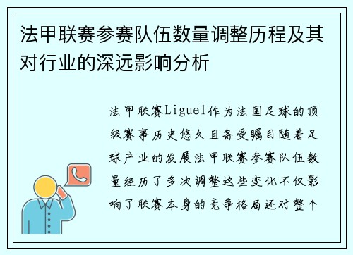 法甲联赛参赛队伍数量调整历程及其对行业的深远影响分析