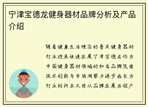 宁津宝德龙健身器材品牌分析及产品介绍