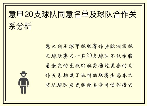意甲20支球队同意名单及球队合作关系分析