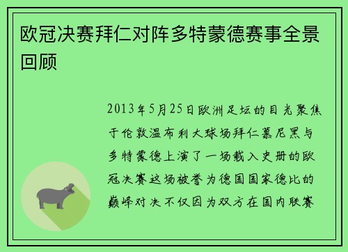 欧冠决赛拜仁对阵多特蒙德赛事全景回顾
